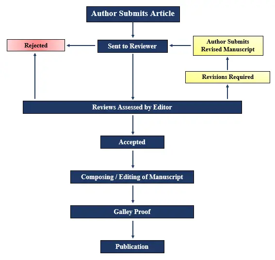 Process of Publication