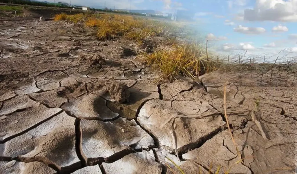 Soil Pollution